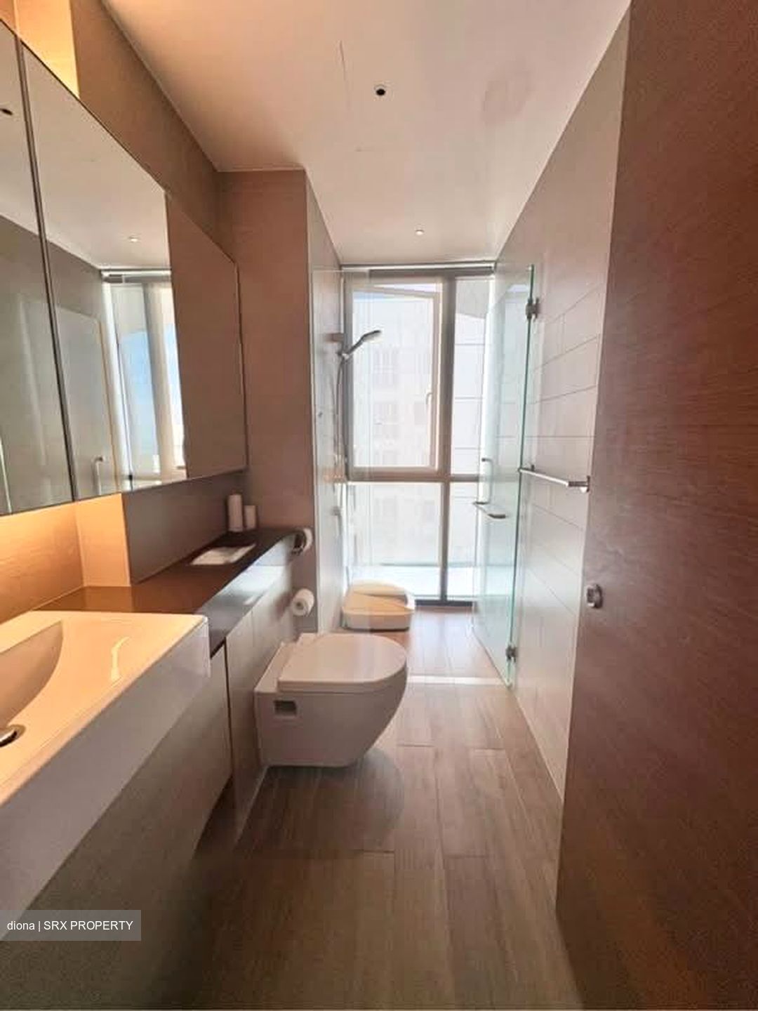 Amber Skye (D15), Apartment #599063221